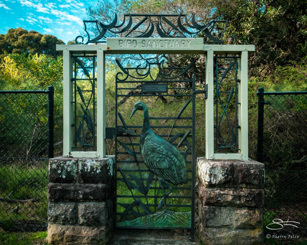 Wrought iron Gate in to Bird Sanctuary in Centennial Park, August 2, 2015