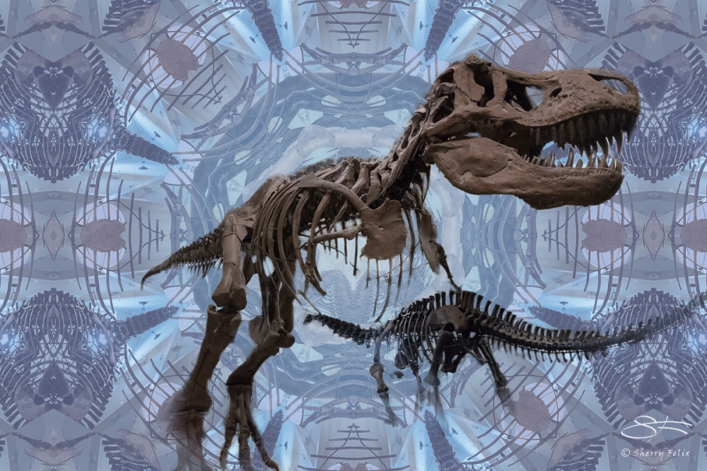 T-Rex at AMNH 3/10/2016