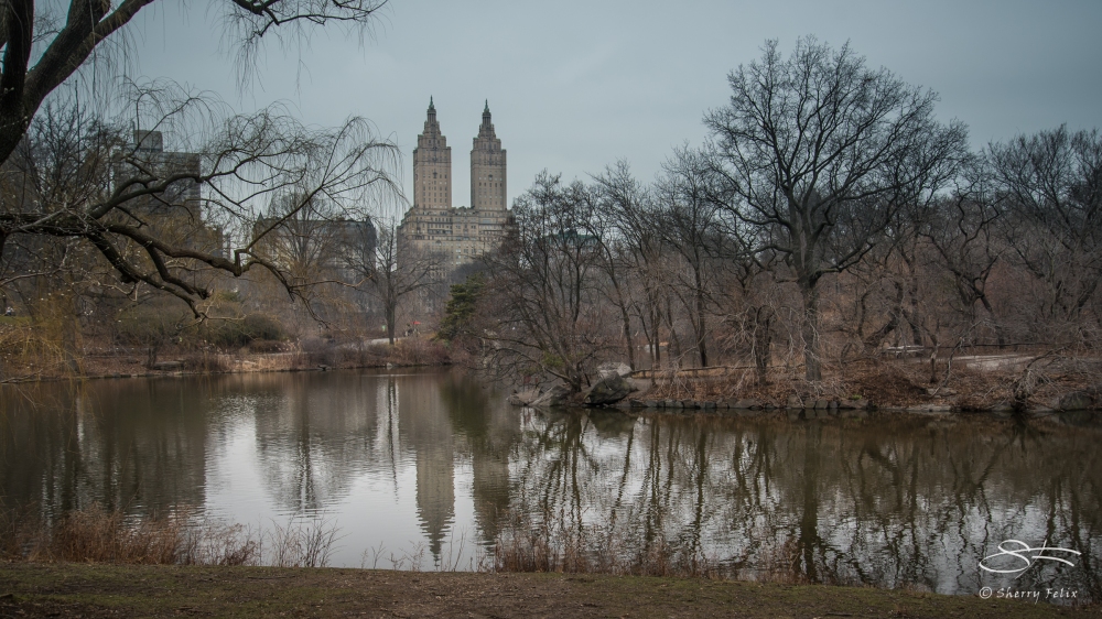 The Lake, Central Park 1/22/2017