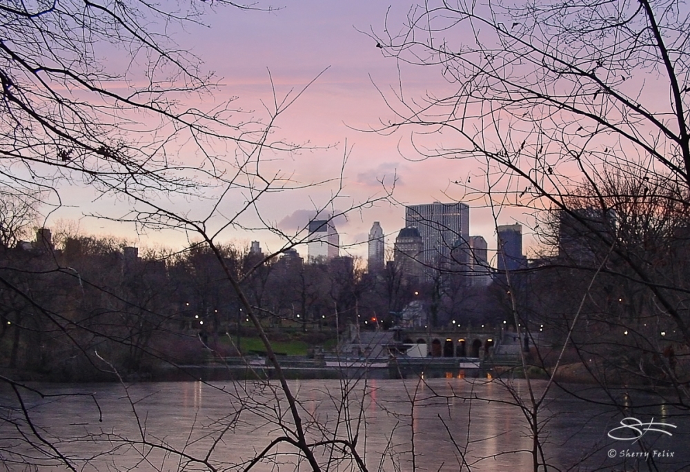 Dawn In Central Park