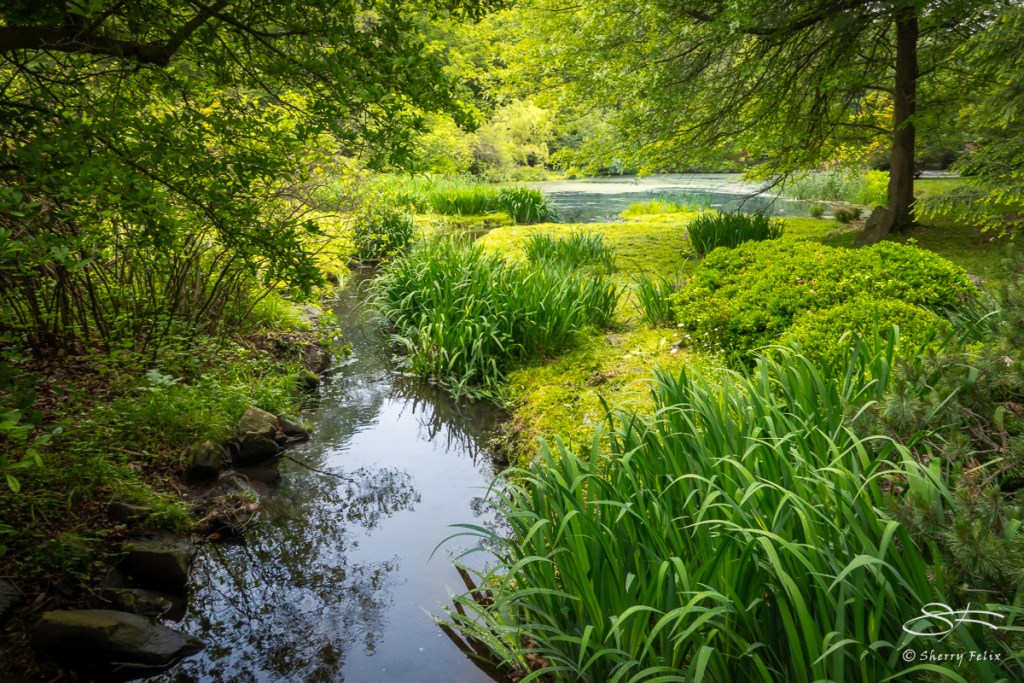 Discover the Enchanting Beauty of Laurelwood Arboretum