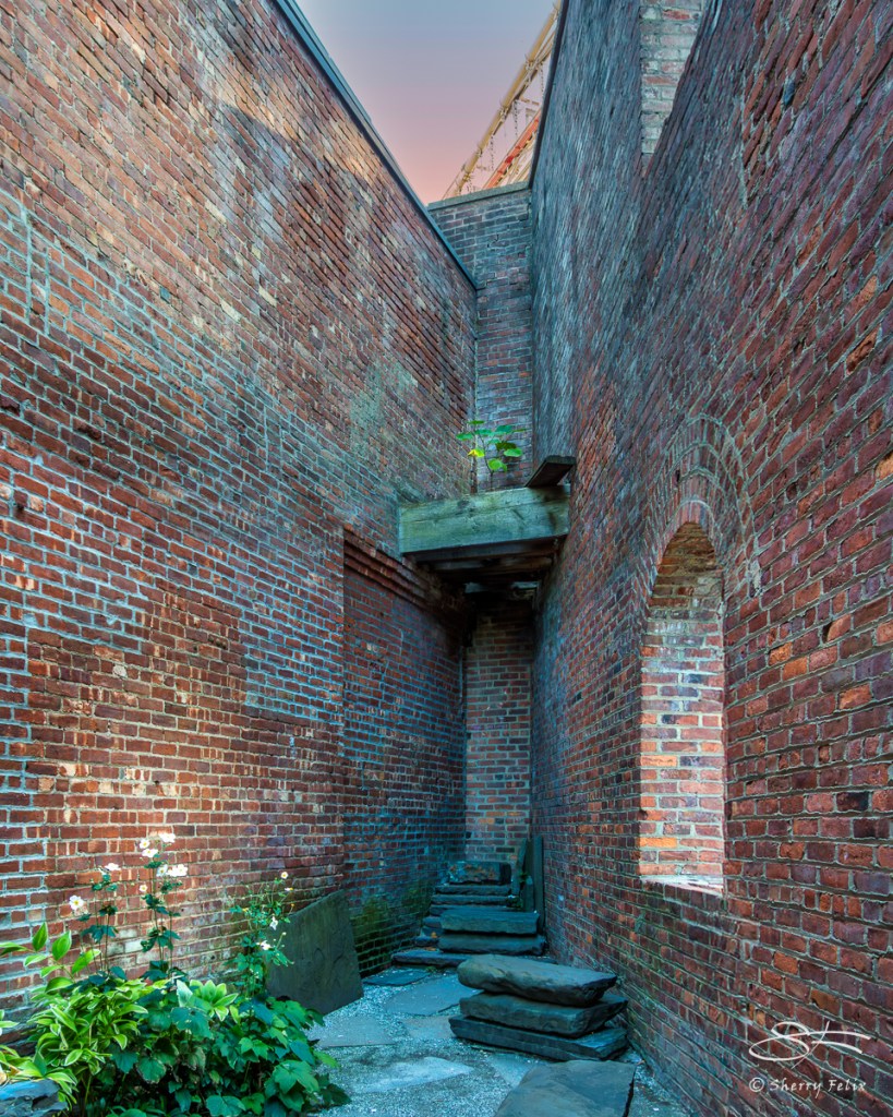 20250919_Brooklyn-Br-Pk_37-SF-