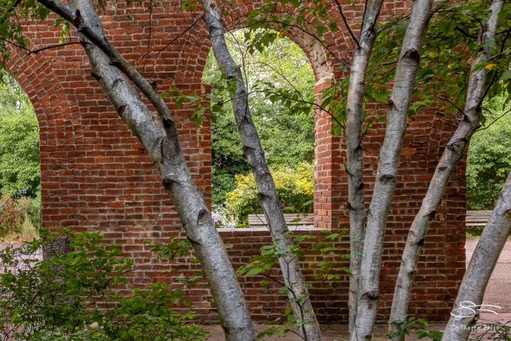 20250924_Brooklyn-Br-Pk_17-
